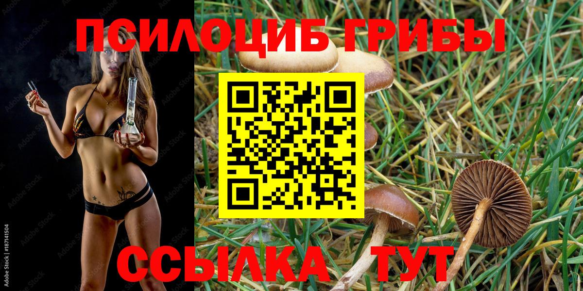 Галлюциногенные грибы MAGIC MUSHROOMS  Вход с VPN  Звенигород 